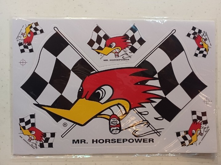 ★ウッドペッカー★ステッカー(大)a4拍卖