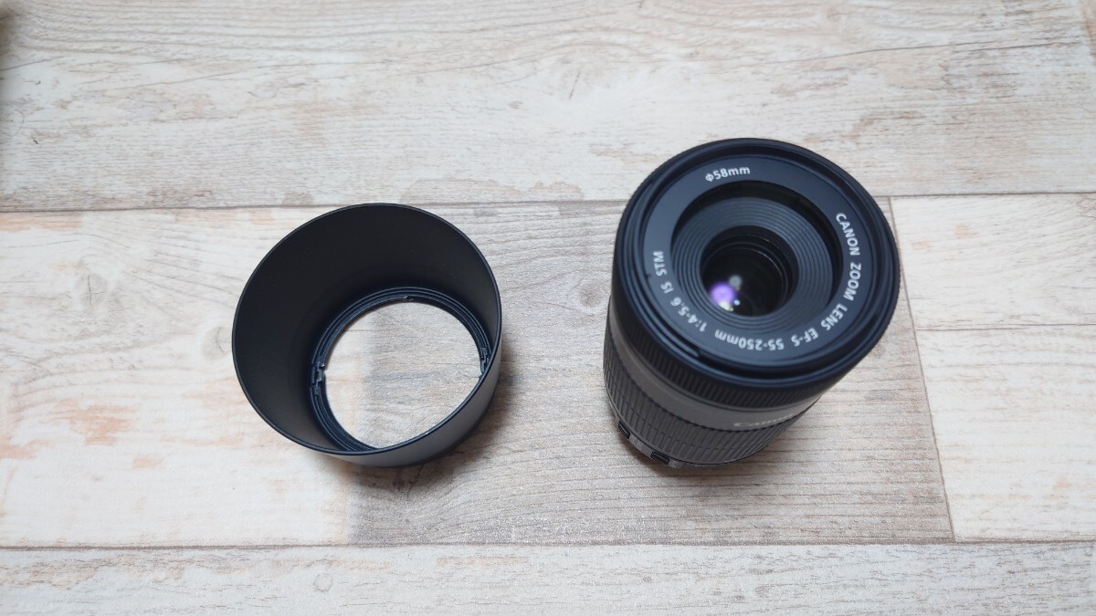 Canon EFS 55-250mm IS拍卖