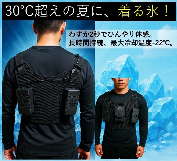 クールベスト ペルチェベスト 冷却ベスト 冷却プレート USB給電 空調作業服 体感-22℃ 男女兼用 熱中症対策 ペルチェ背面2個 | a14-028-2拍卖
