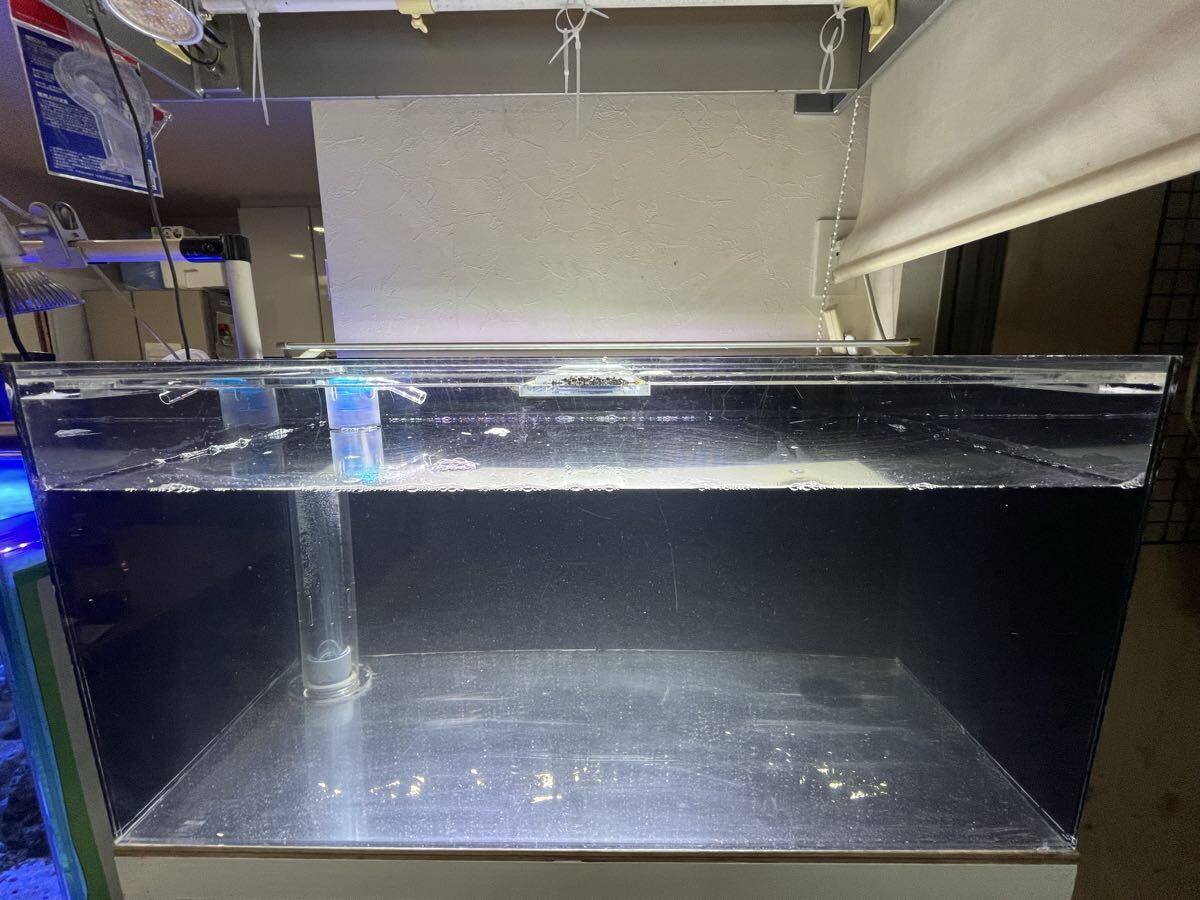 900×450×450 アクリルオーバーフロー水槽 発送可能拍卖