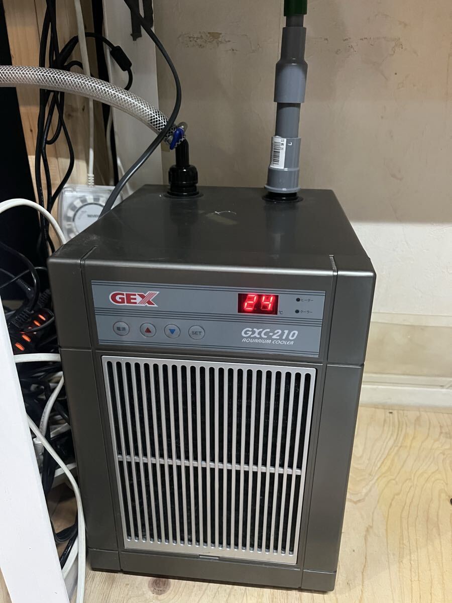GEX クーラー GXC-210 動作確認済み拍卖