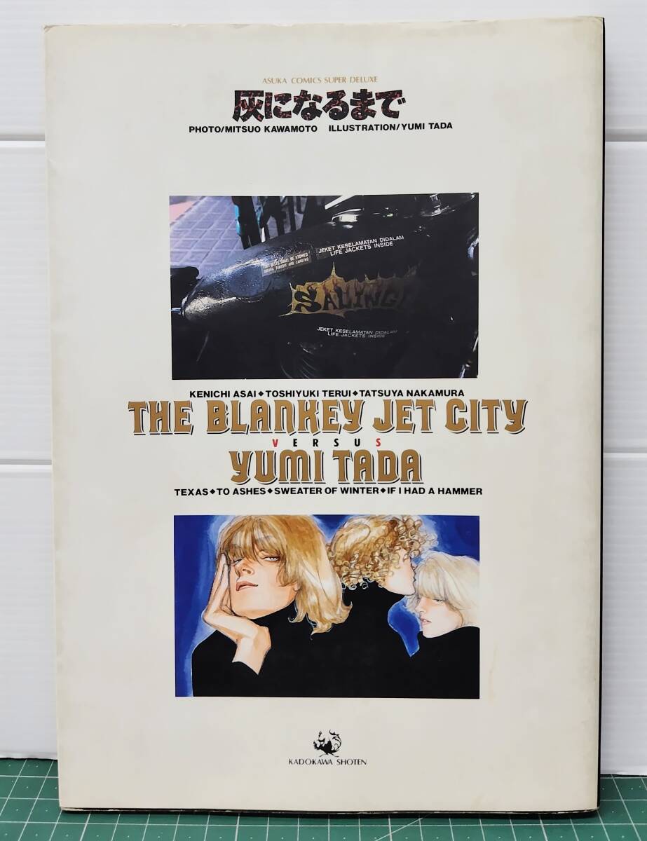THE BLANKEY JET CITY ×多田由美 灰になるまで ブランキー・ジェット・シティ 撮影・川本満雄 角川書店 1992年●H5405拍卖