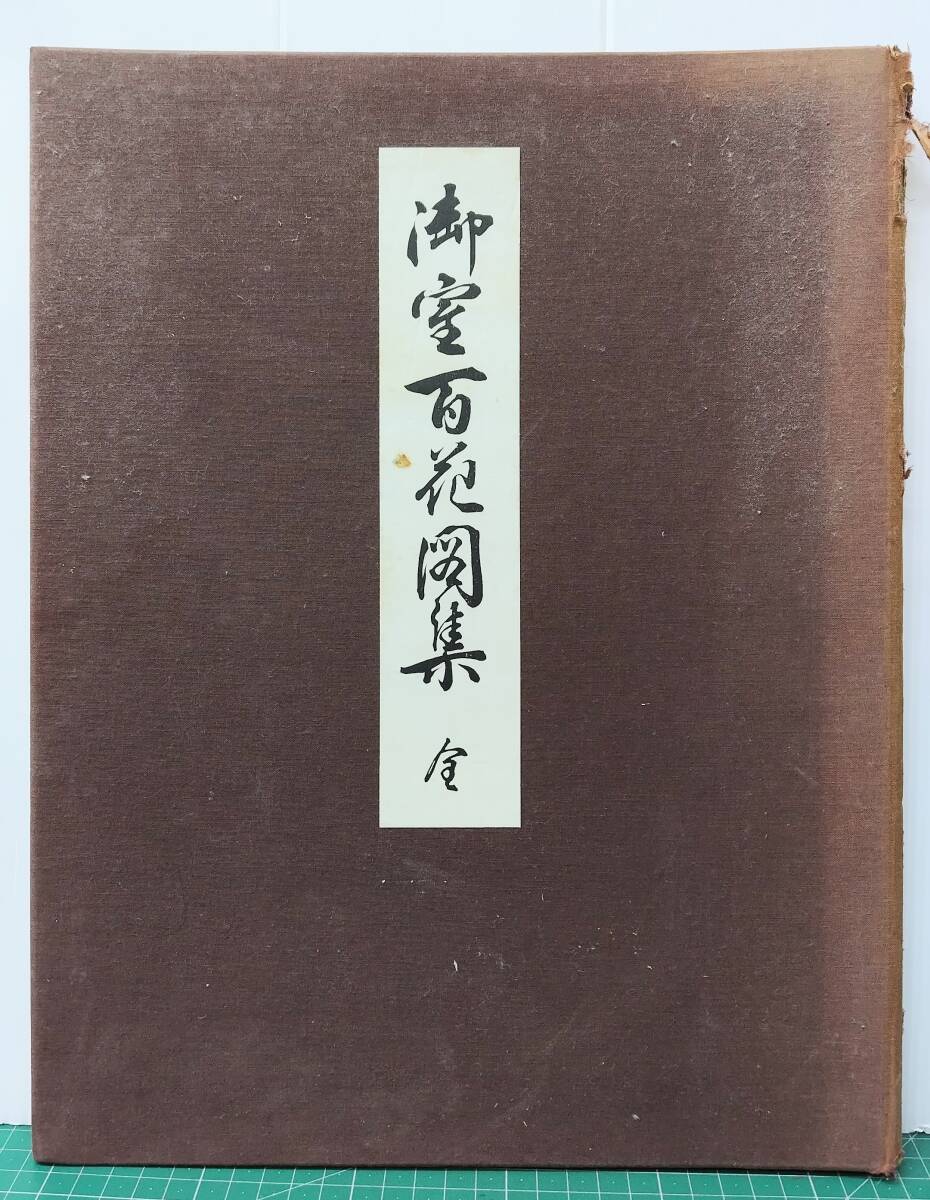 原在中筆 御室百花図集 京都書院 昭和39年 今井景樹 原在中 大型本 画集 作品集●H5405拍卖