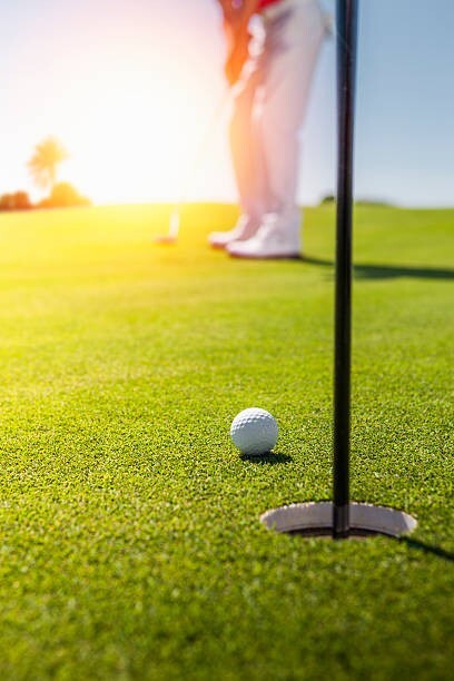 送料無料★1円画像 即決1円 ★フリー素材拍卖