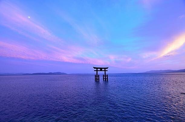 送料無料★1円画像 即決1円 ★フリー素材拍卖