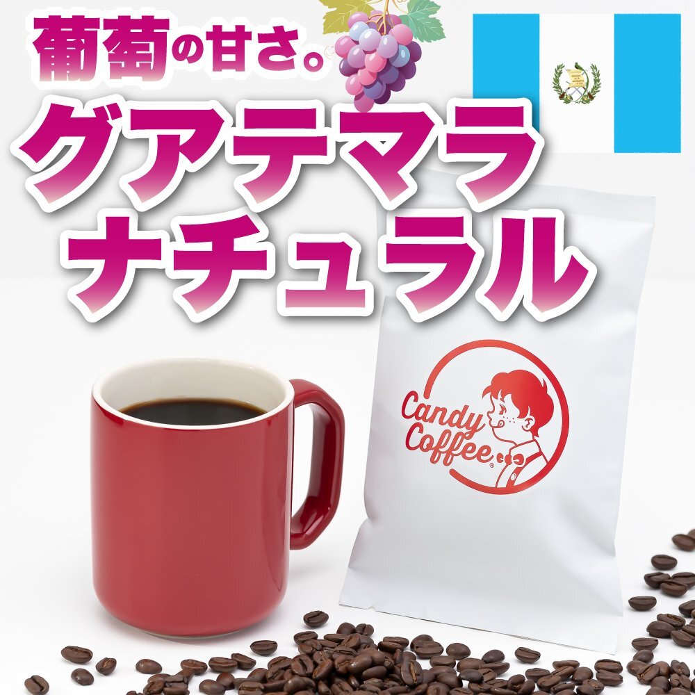 【出来立て】【 800g 】自家焙煎コーヒー豆 グアテマラ ガテマラ ナチュラル 中深煎り 葡萄 グレープ キャンディコーヒー Candy Coffee拍卖