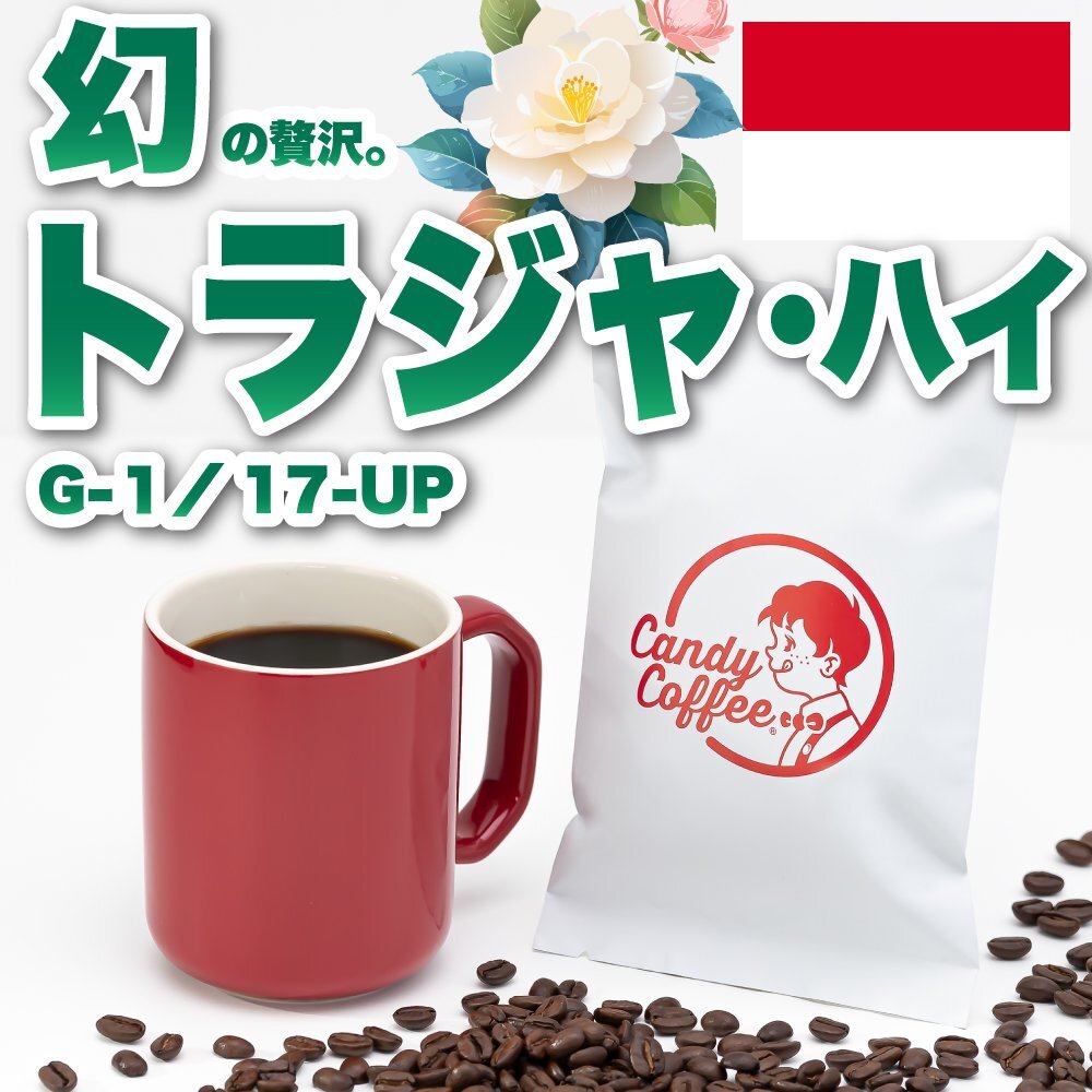 【出来立て】【 200g 】自家焙煎コーヒー豆 トラジャハイ G1 17UP 【高級】【贈答品】 深煎り キャンディコーヒー Candy Coffee拍卖