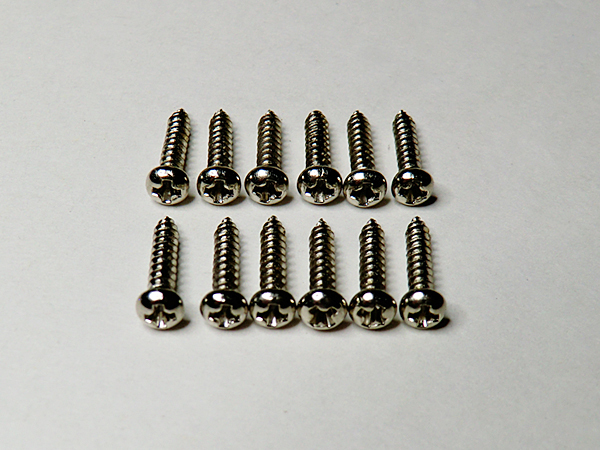 ◇◇新品 ペグ用スクリュー クローム 12本セット2.0×10mm ネジ ビス拍卖