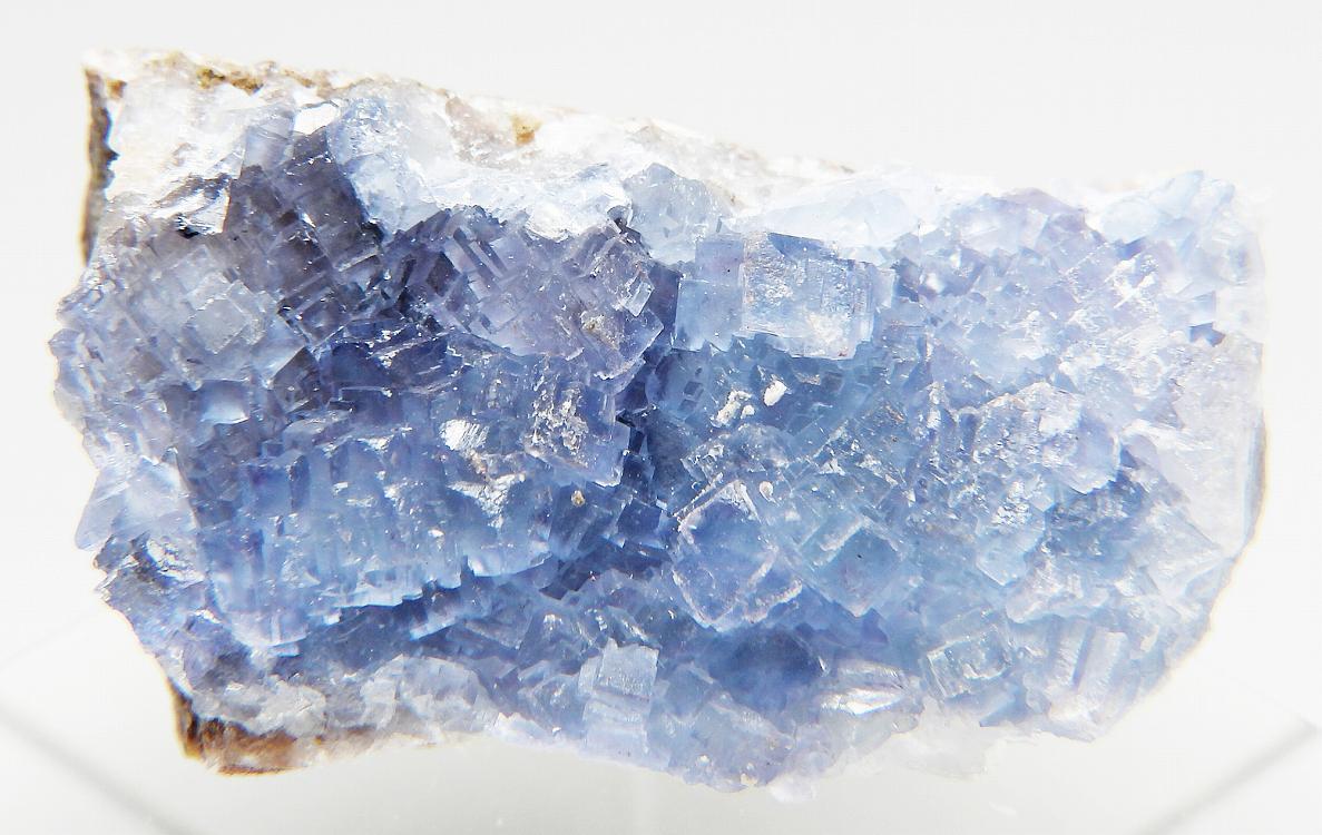 ☆☆ フローライト 蛍石 フラストレーション鉱山 <ニューメキシコ州> 40 ☆☆拍卖