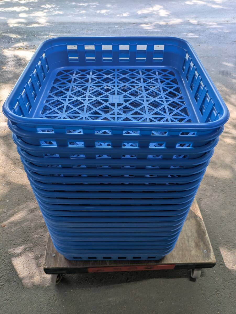 訳あり品:ボトルコンテナワイド・透明ボトル用16本入り20枚拍卖