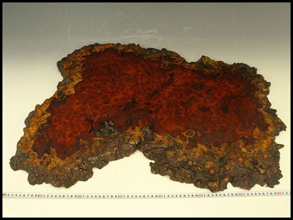 【銀閣】葡萄木 自然木 瘤 敷板 78cm×56cm 花梨 紅木 銘木旧家蔵出 送料無料(A466)拍卖