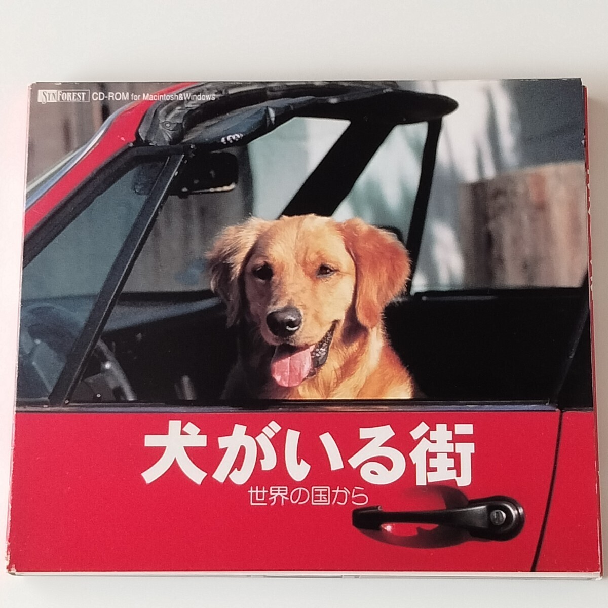 犬がいる街 世界の国から(SF-074)シベリアンハスキー/ゴールデンリトリバー/CD-ROM FOR MACINTOSH & WINDOWS/SYN FOREST シンフォレスト拍卖