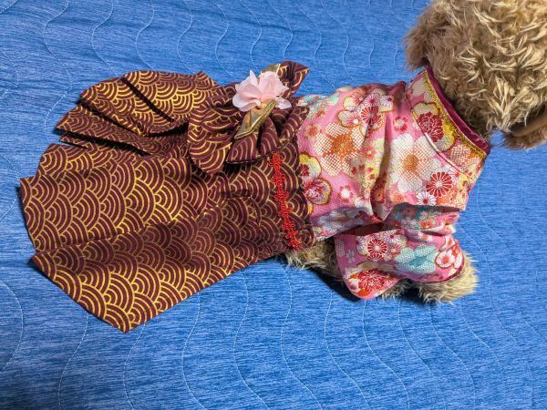 現品のみ★ピンクちりめん風着物にエンジ金青海波袴拍卖