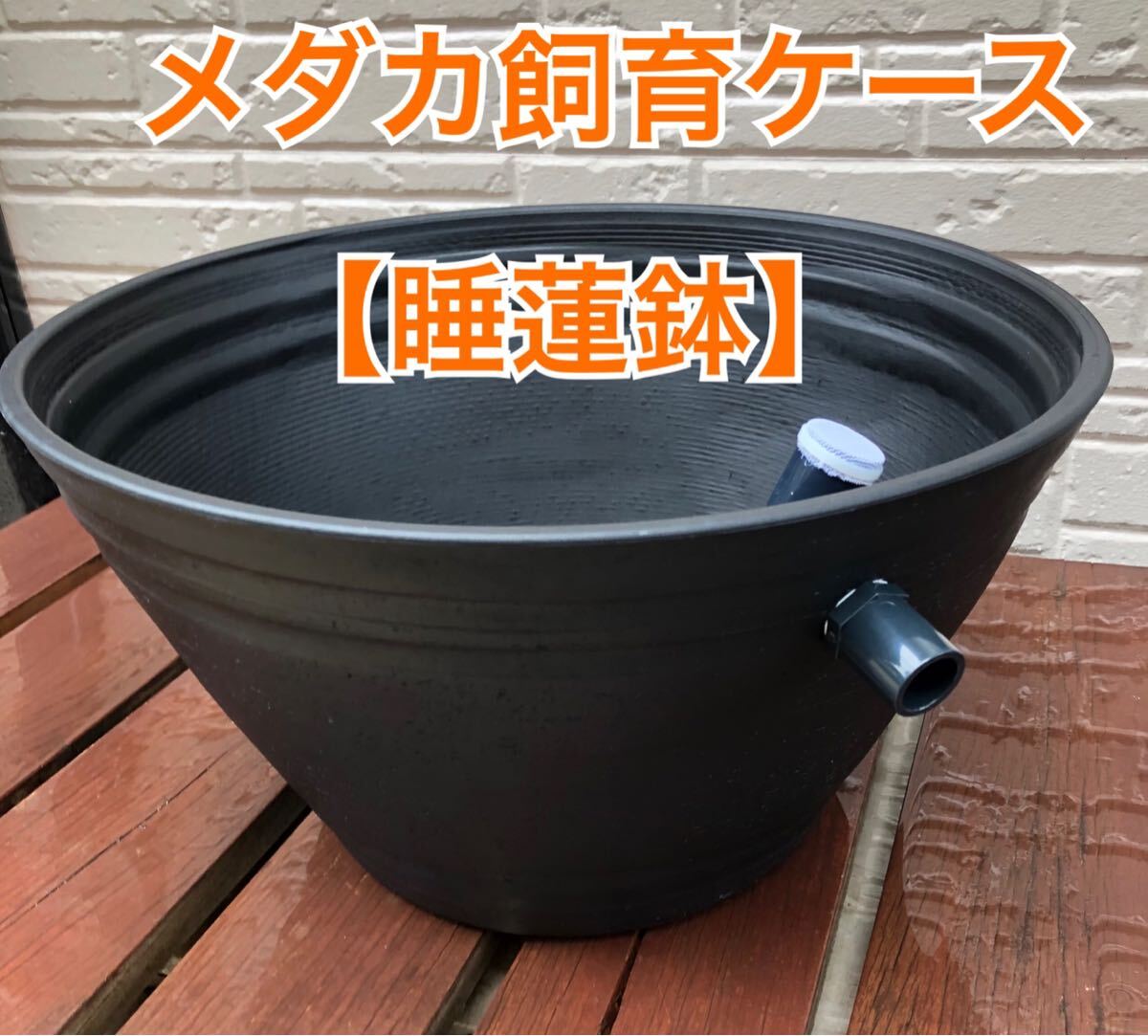 メダカ飼育ケース 睡蓮鉢タイプ【大】 拍卖