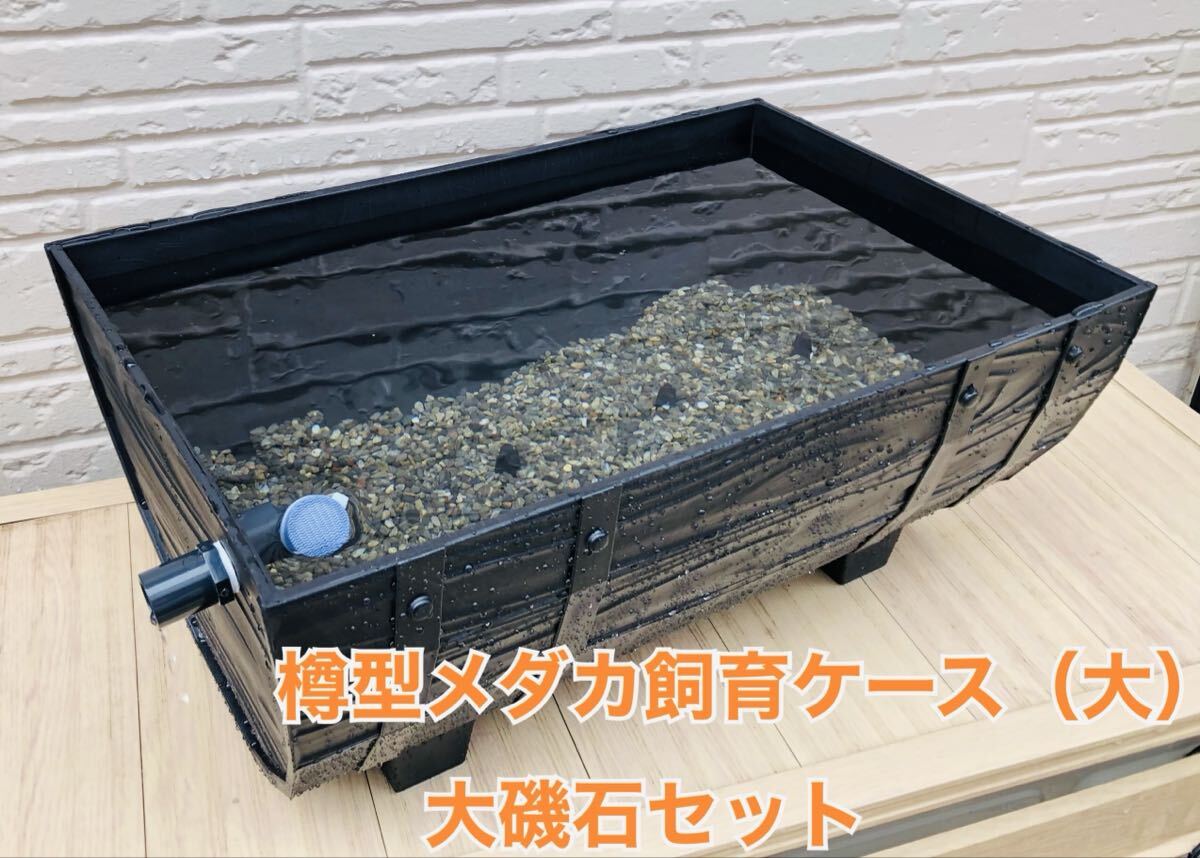 樽型メダカ飼育ケース【大】大磯石、赤玉土セット拍卖