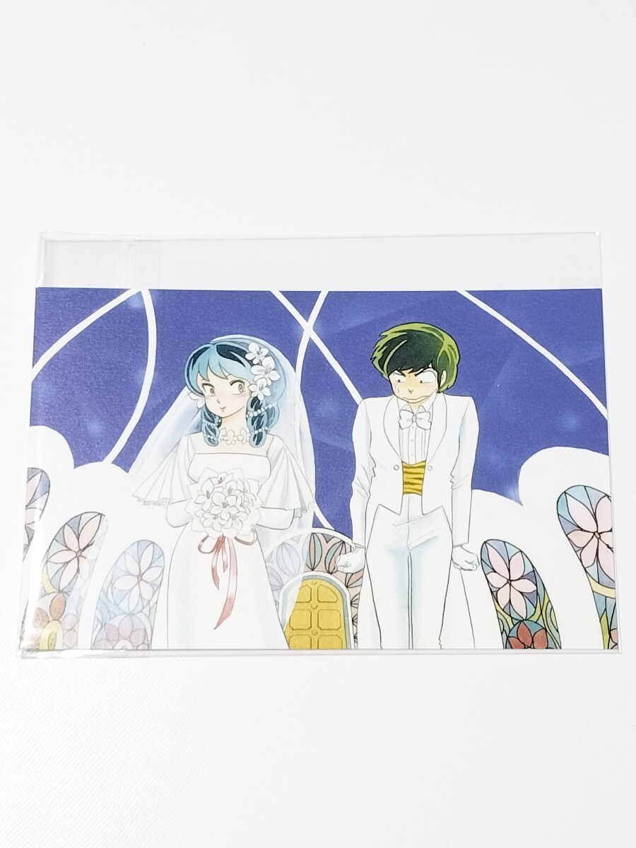 【うる星やつら】非売品 ポストカード 高橋留美子 少年サンデー/ラム あたる 結婚式拍卖
