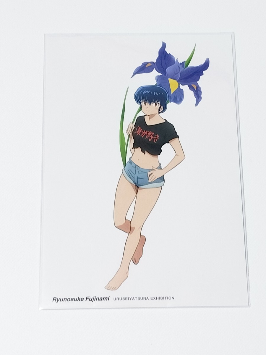 【うる星やつら】ポストカード 高橋留美子/竜之介拍卖