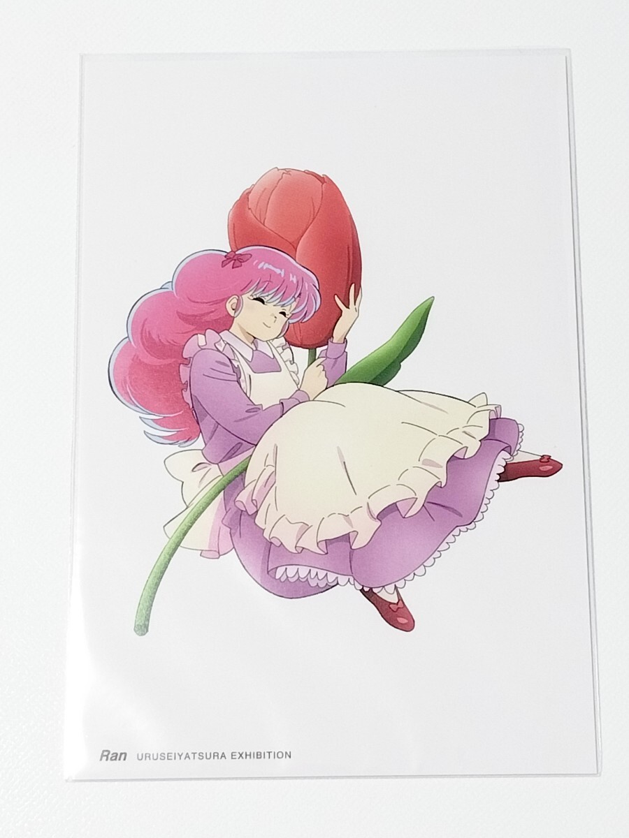 【うる星やつら】ポストカード 高橋留美子/ラン拍卖