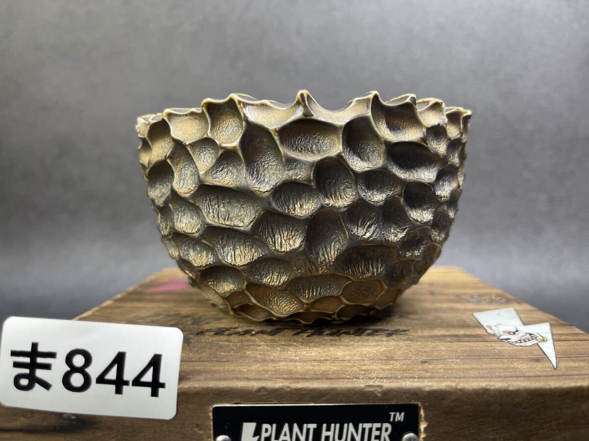 ま844 Mサイズ HAND Made 植木鉢 陶器検(アガベ パキプス 姫巌竜 帝釈天 黒火焔 factory SRL カタチ製作所 グラキリス 塊根植物 亀甲竜拍卖