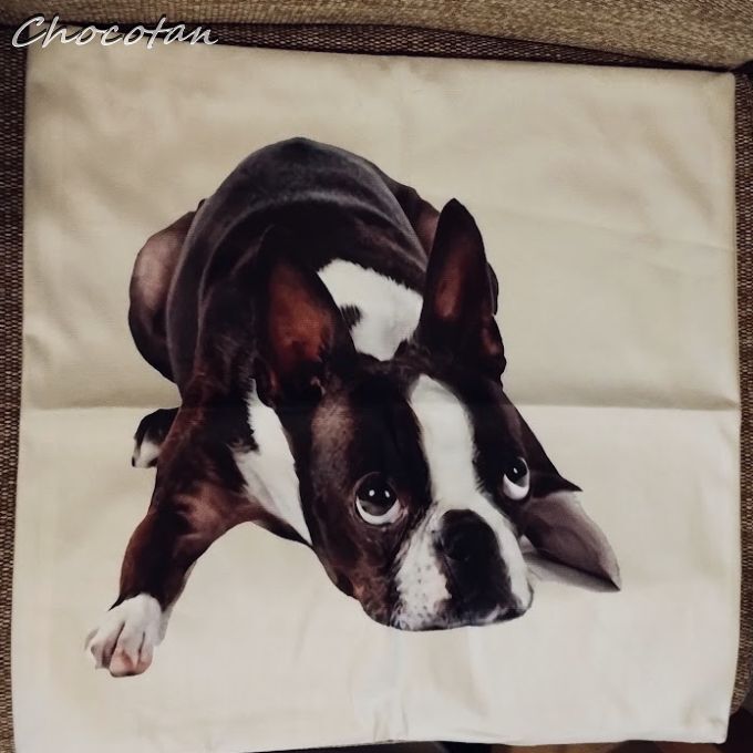 【送料無料】ボストンテリア A ピーチスキン 45x45cm クッションカバー 【新品】拍卖