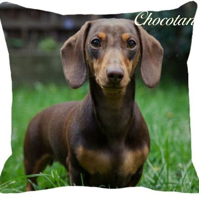 【送料無料】ダックスフンド a118 コットンリネン 45x45cm クッションカバー【新品】拍卖