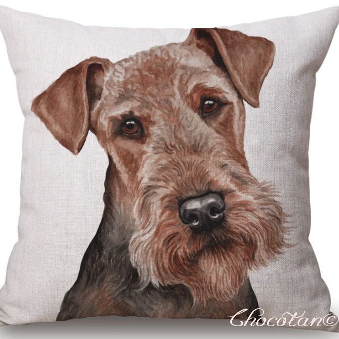 【送料無料】エアデールテリア C コットンリネン 45x45cm クッションカバー【新品】拍卖