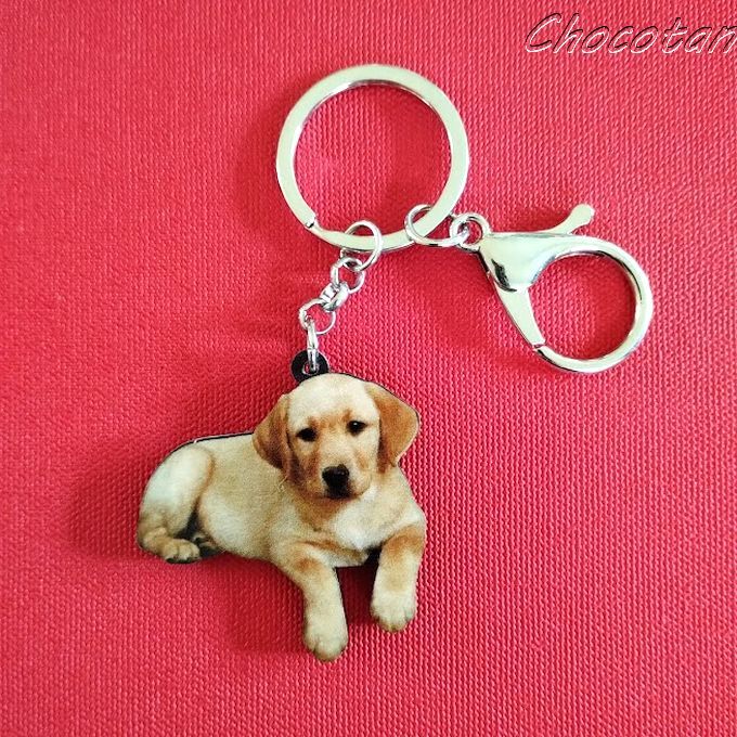 【送料無料】イエローラブ ① アクリル キーリング【新品】拍卖