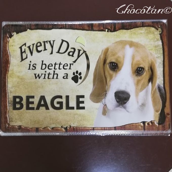 【送料無料】ビーグル ④ Every Day メタルサインプレート メタル看板【新品】拍卖