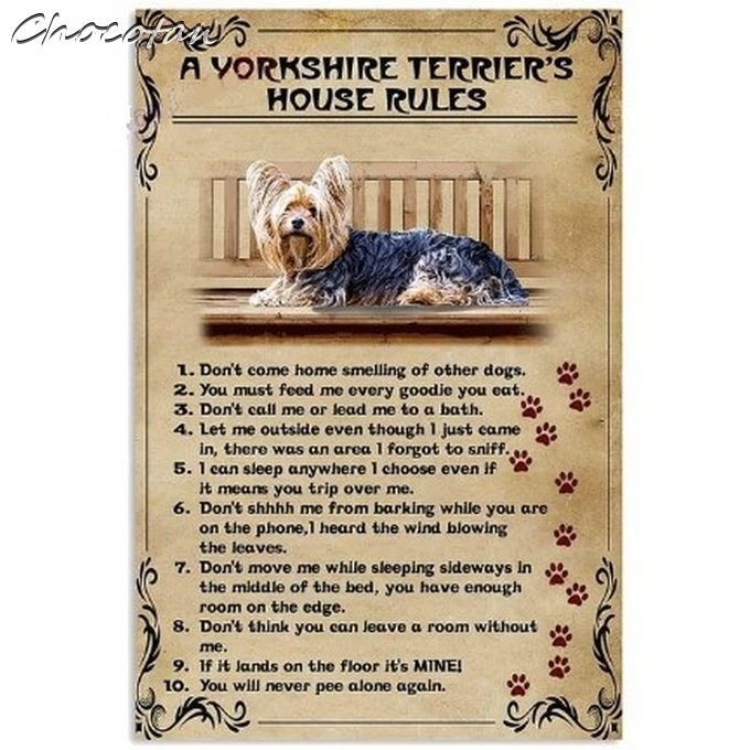 【送料無料】ヨークシャーテリア ⑫ 10ルールズ メタルサインプレート【新品】拍卖