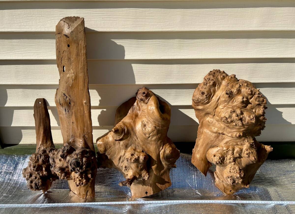 ☆★☆天然木 木コブ 木瘤 カバ 華道 オブジェ 置き物 木塊 木材 部材 中古 まとめて4つ☆★☆拍卖
