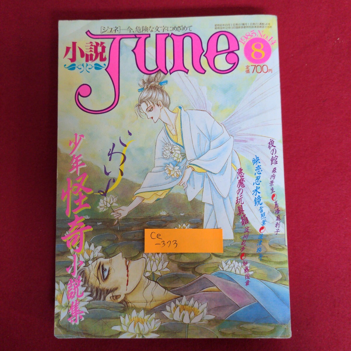 Ce-373/小説JUNE 1985年 No.14 8月号 夜の館 映恋忍水鏡 悪魔の玩具箱 少年怪奇小説集 森内景生 雷照葉/L4/71027拍卖