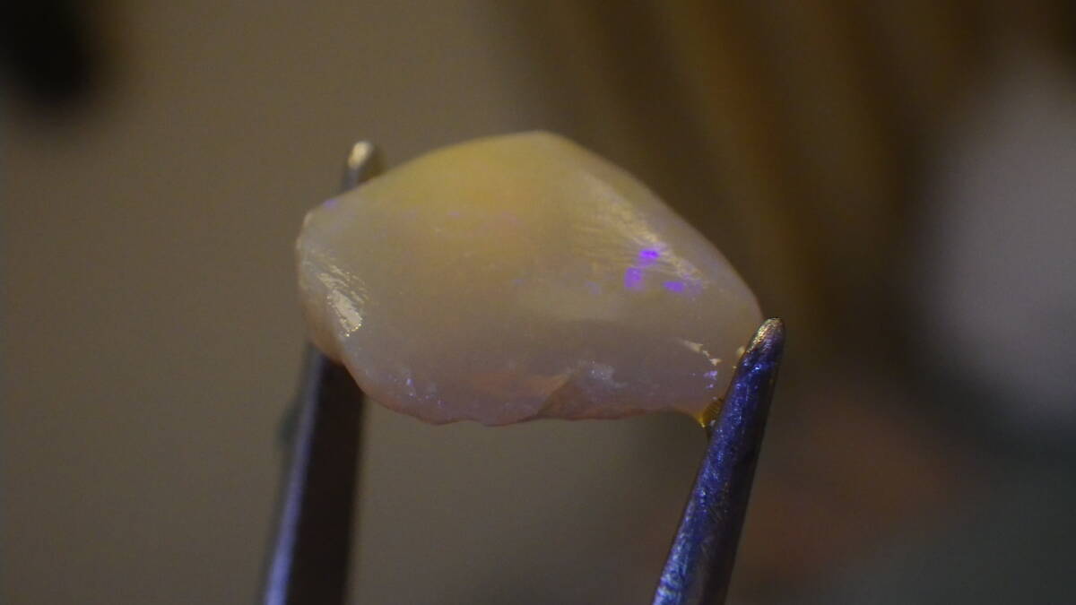 豪産のブラックオパールです(1点の色)。 色は小さいのでサービスです 3.5ct 拍卖