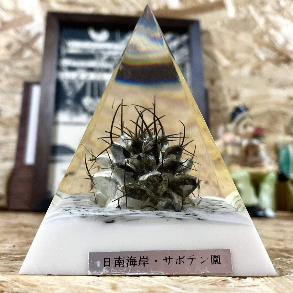 サボテン 樹脂ピラミッド置物/昭和レトロ雑貨 〜日南海岸〜拍卖