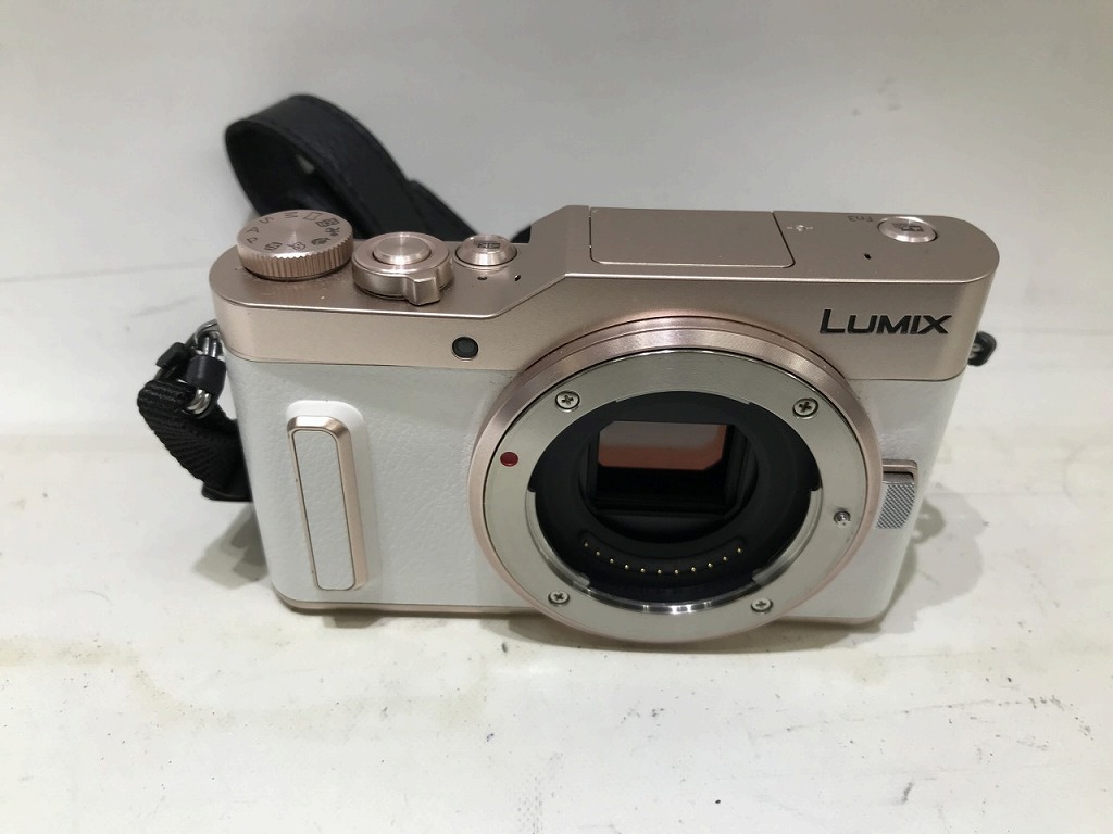 期間限定セール パナソニック Panasonic ミラーレス一眼 DC-GF10W-D ダブルレンズキット拍卖