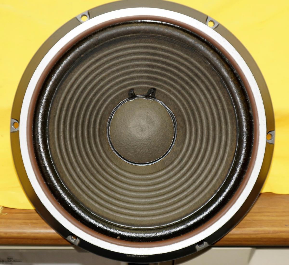 A&P SONY 300W010 ::30cmウーハーペア:片方:断線:難あり+片方正常:(現状渡)拍卖