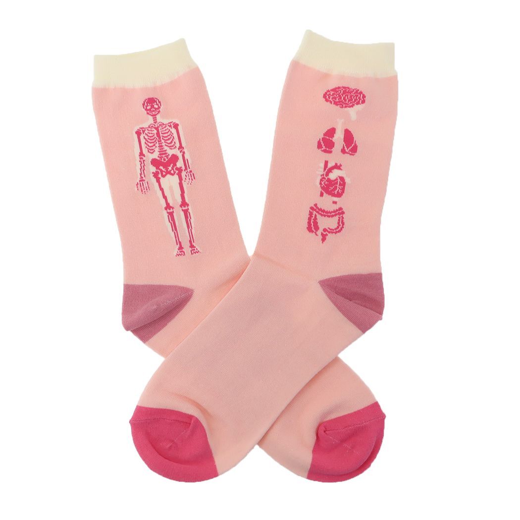 女性用靴下 STUDY HOLIC 靴下 人類生物学 Green Flash拍卖