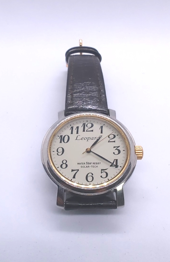 CITIZEN シチズン Leopard E031-S069343 SOLAR-TECH 腕時計 稼働品拍卖