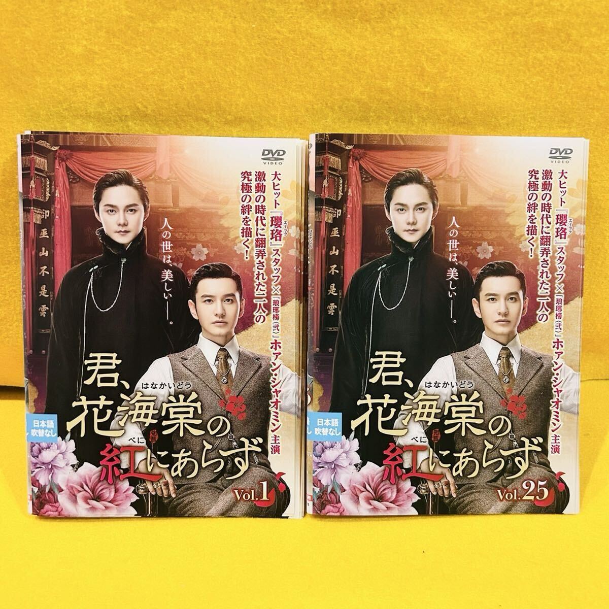 君、花海棠の紅にあらず DVD 全25巻 全巻セット 中国ドラマ レンタル落ち ホァン・シャオミン イン・ジョン拍卖