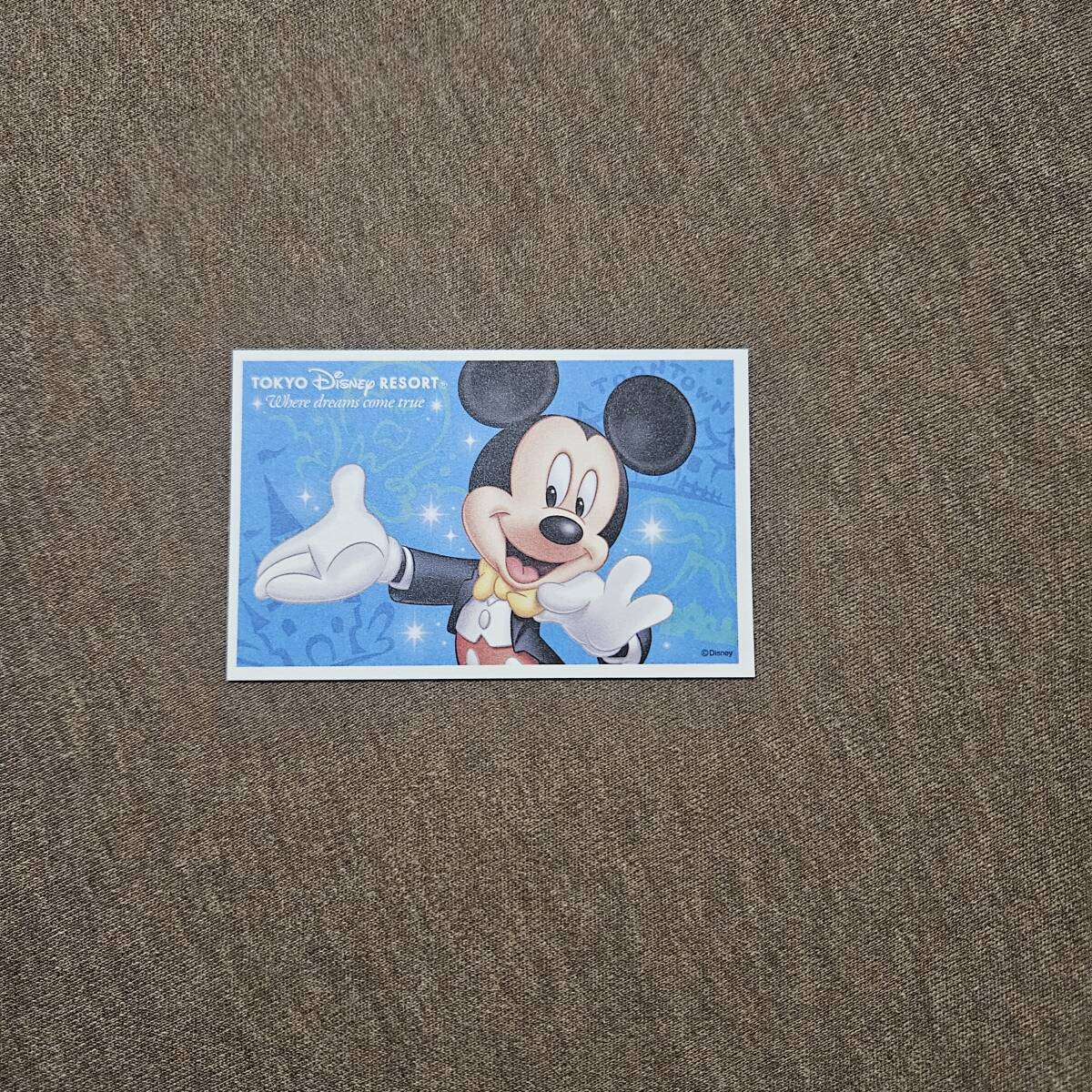 ディズニーランド ディズニーシー パスポート ディズニーリゾート 2025.11.30迄拍卖