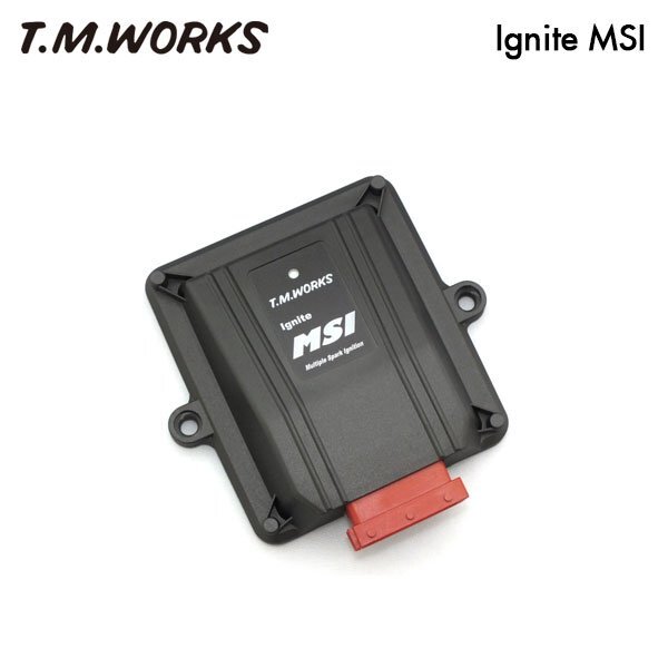 T.M.WORKS イグナイトMSI シトロエン C3 A55F10 H22~H29 MSR MS1062拍卖