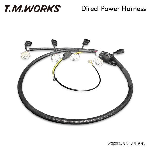 T.M.WORKS ダイレクトパワーハーネスキット マーチ AK12 CR12DE H14.3~ DP1008拍卖