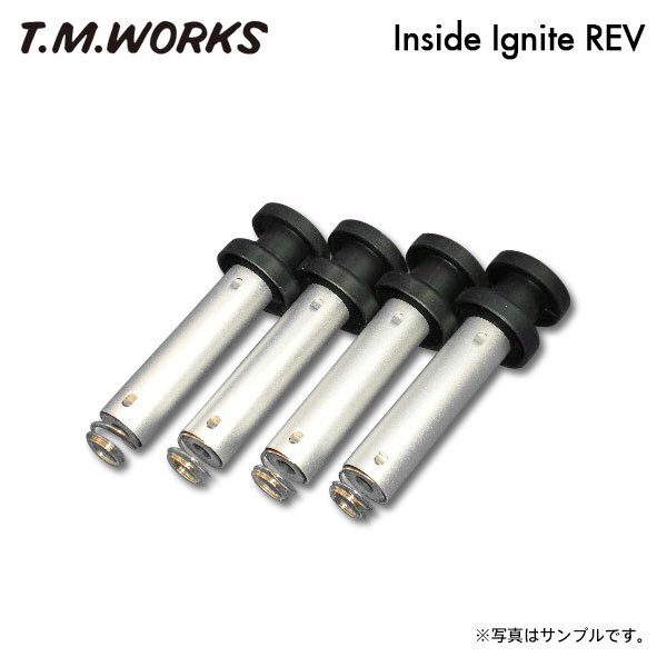 T.M.WORKS インサイドイグナイトレブ フォルクスワーゲン パサート AGU H10~H13 1.8T拍卖