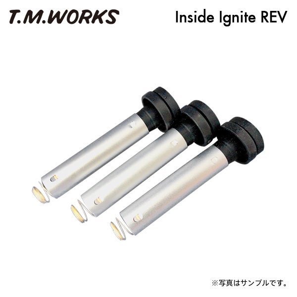 T.M.WORKS インサイドイグナイトレブ デイズ B21W 3B20 (NA) H25.6~拍卖