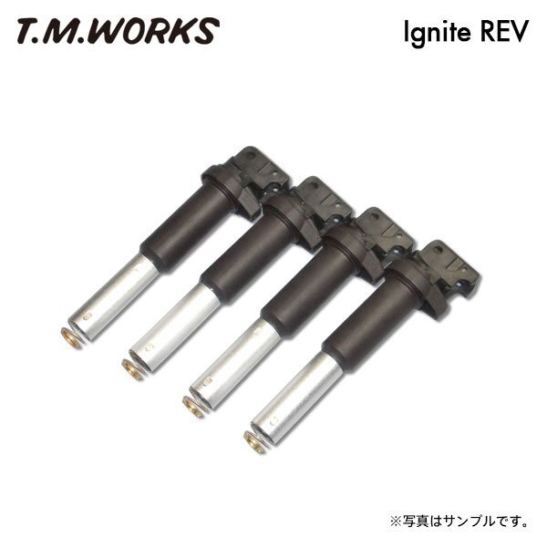 T.M.WORKS イグナイトレブ アバルト 695 トリブートフェラーリ 312142 312A3 H21~ マルチエア車取り付け不可拍卖