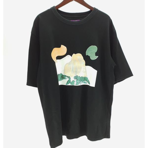 ナナミカ×ザ・ノースフェイス 半袖Tシャツ NT3330N メンズL パープルレー ベル nanamika×THE NORTH FACE ◆2004拍卖
