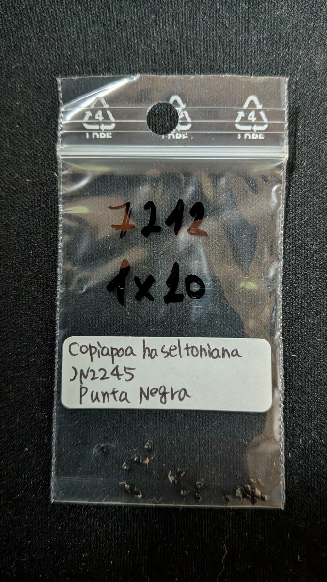 コピアポア ハセルトニアナ JN2245 種子20粒拍卖