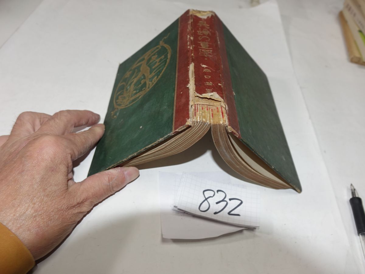 832森口多里『異端の画家』大正9初版 背破れ拍卖