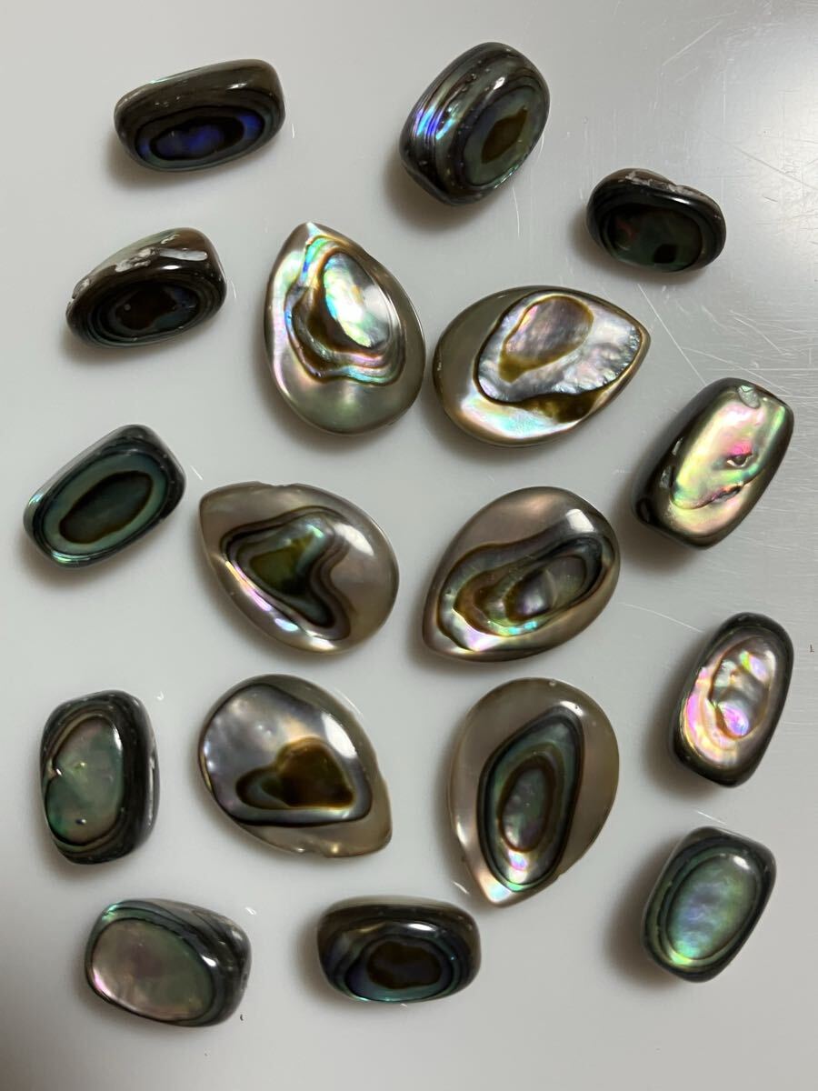 アバロンシェル 22個セット拍卖