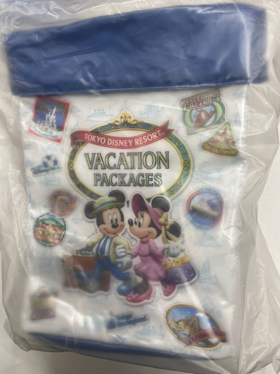 送料無料!? オマケ付 東京ディズニーリゾート バケーションパッケージ限定バッグ ポップコーンケース ミニシール拍卖