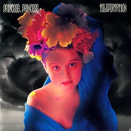 Teleportation PRINCESS PRINCESS 国内盤CD拍卖